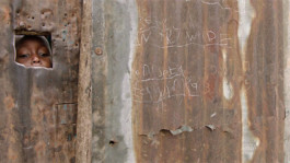 SASCHA KOELLNREITNER