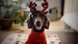 SASCHA KOELLNREITNER