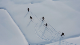 SASCHA KOELLNREITNER