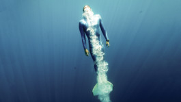 SASCHA KOELLNREITNER