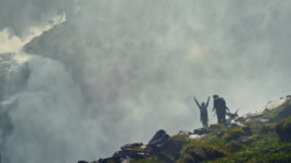 SASCHA KOELLNREITNER